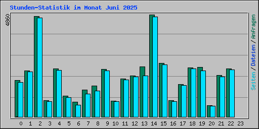 Stunden-Statistik im Monat Juni 2025
